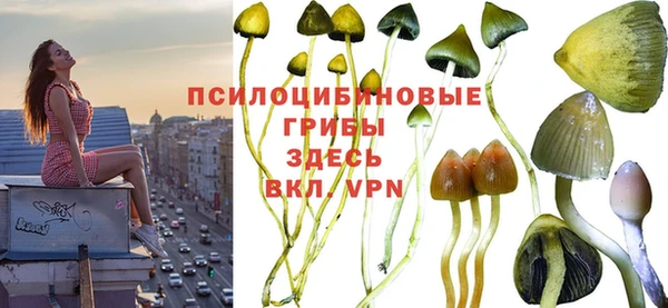марихуана Богородицк