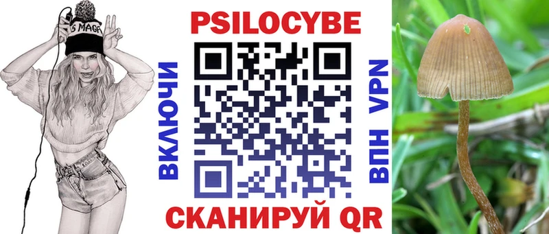 МЕГА tor  Тверь  Псилоцибиновые грибы Psilocybe  купить наркотик 